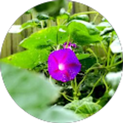 Profile photo of Nathan Calvert