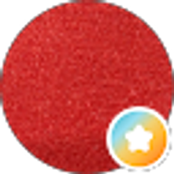 Profile photo of Rob