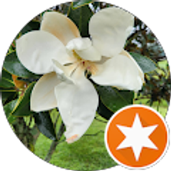 Profile photo of Rhonda Losey