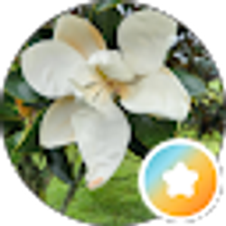 Profile photo of Rhonda Losey