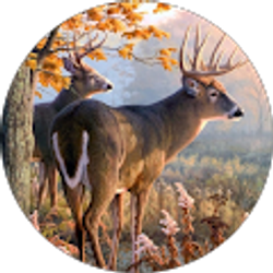 Profile photo of Joseph Huffman