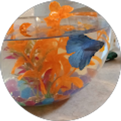 Profile photo of Erica j