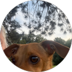 Profile photo of Kim Mollohan