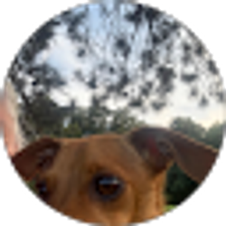 Profile photo of Kim Mollohan