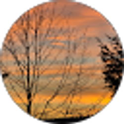 Profile photo of Ethan Noah