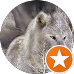 Profile photo of Sandra French