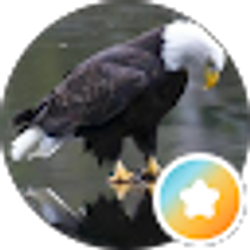 Profile photo of Nathan Nudelman