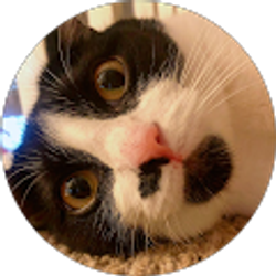 Profile photo of 李丽娜