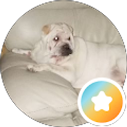 Profile photo of Debra Littledebbie