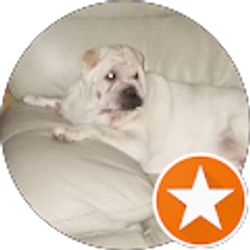 Profile photo of Debra Littledebbie