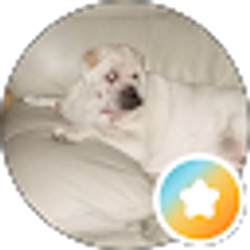 Profile photo of Debra Littledebbie