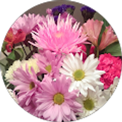 Profile photo of gerri studebaker