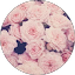 Profile photo of autumn rose