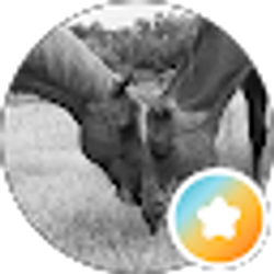 Profile photo of Brooke Cunningham