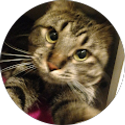 Profile photo of Elena South