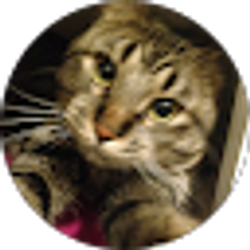 Profile photo of Elena South