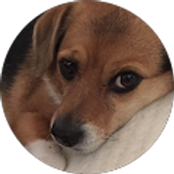 Profile photo of Michelle L