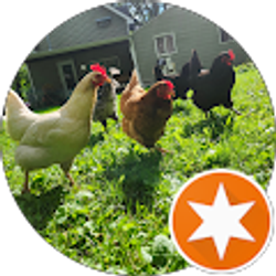 Profile photo of BeautifulBunny 88