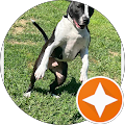 Profile photo of Timothy Breeden