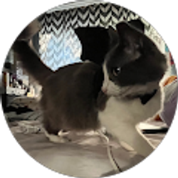 Profile photo of angelica vaquera