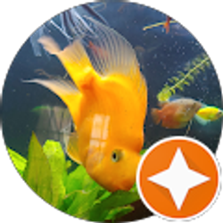 Profile photo of Kim Stump