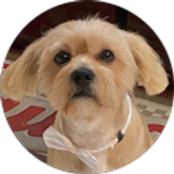 Profile photo of JORGE Y MARLIUVIS AlVAREZ