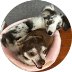 Profile photo of Alma Murillo