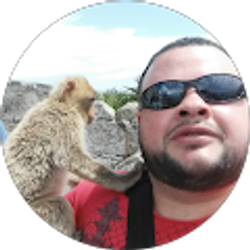 Profile photo of Moldevite