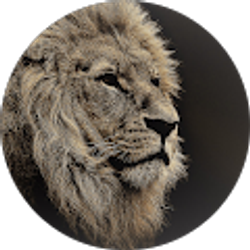 Profile photo of Haile Brendon