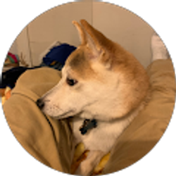 Profile photo of Jim Fenos