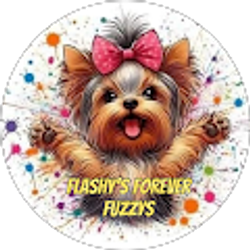 Profile photo of Flashy’s Bully’s