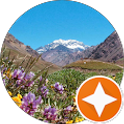 Profile photo of Carol R.