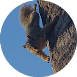 Profile photo of Bealene Ahern