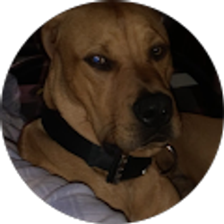 Profile photo of Devan Cribbs