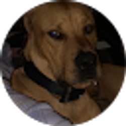 Profile photo of Devan Cribbs