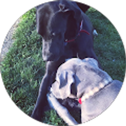 Profile photo of Amanda