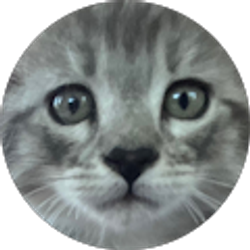 Profile photo of Angelika