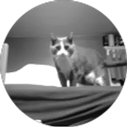 Profile photo of Preston Adams