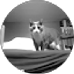 Profile photo of Preston Adams