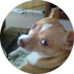 Profile photo of R. Trent