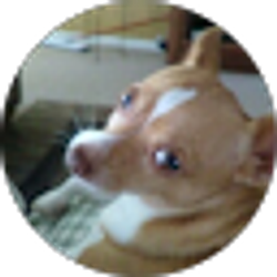 Profile photo of Richard Trent