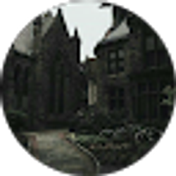 Profile photo of Quinn Ace