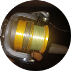 Profile photo of Tyshun Flowers