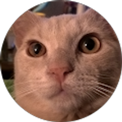 Profile photo of Emily Kreutzer