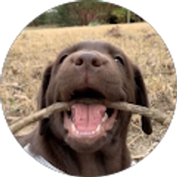 Profile photo of Kim Howard