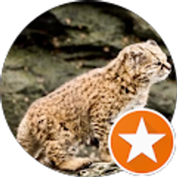 Profile photo of Kathleen Meyers