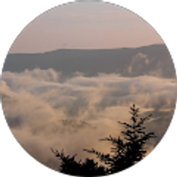 Profile photo of Kelley McGinnis