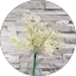 Profile photo of Masonry Work Designs, INC