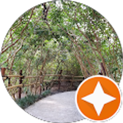 Profile photo of Lon