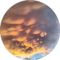 Profile photo of Astrid Muller